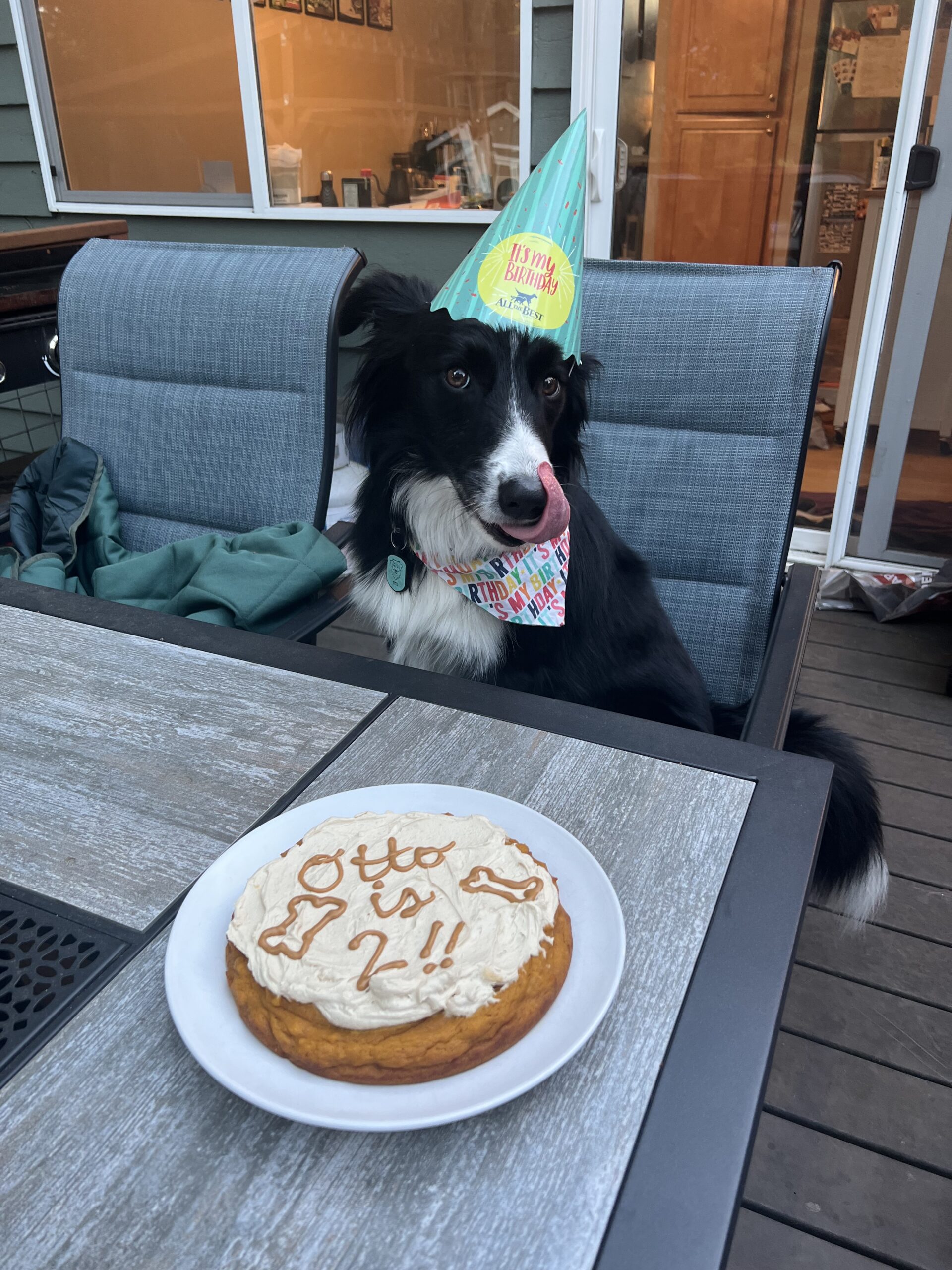 Otto’s Birthday Cake