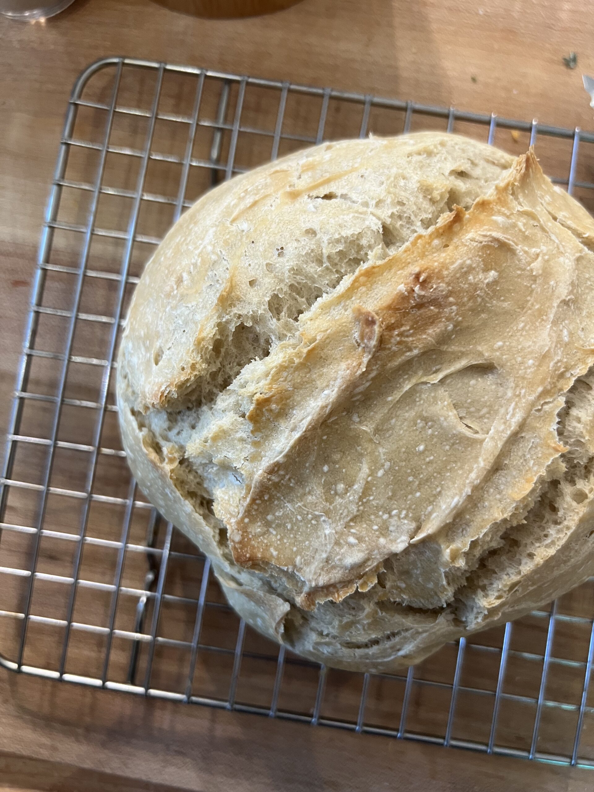 No Knead Crusty Bread